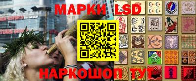 ГАЛЛЮЦИНОГЕННЫЕ ГРИБЫ Тара