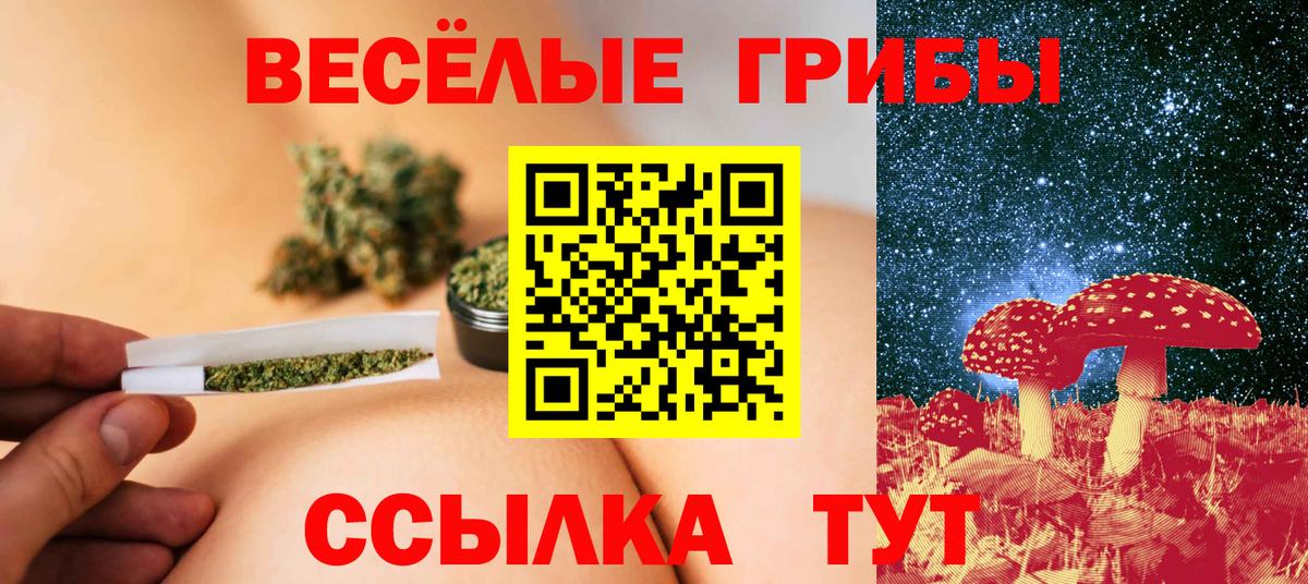 Галлюциногенные грибы мицелий  Псилоцибиновые грибы MAGIC MUSHROOMS  Вход с VPN  Новотроицк 